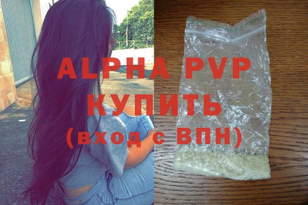 ECSTASY Покров