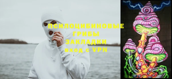 spice Дедовск