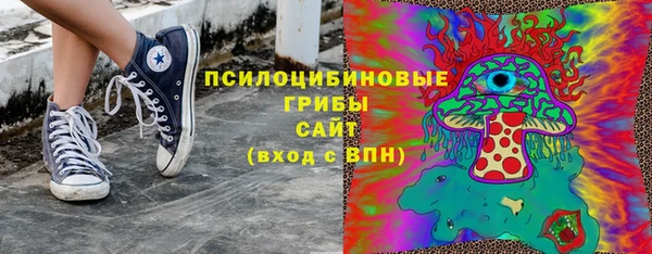 ECSTASY Покров