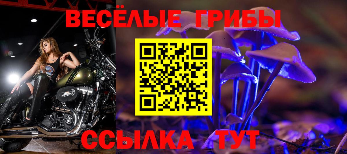 Галлюциногенные грибы Psilocybine cubensis Соликамск